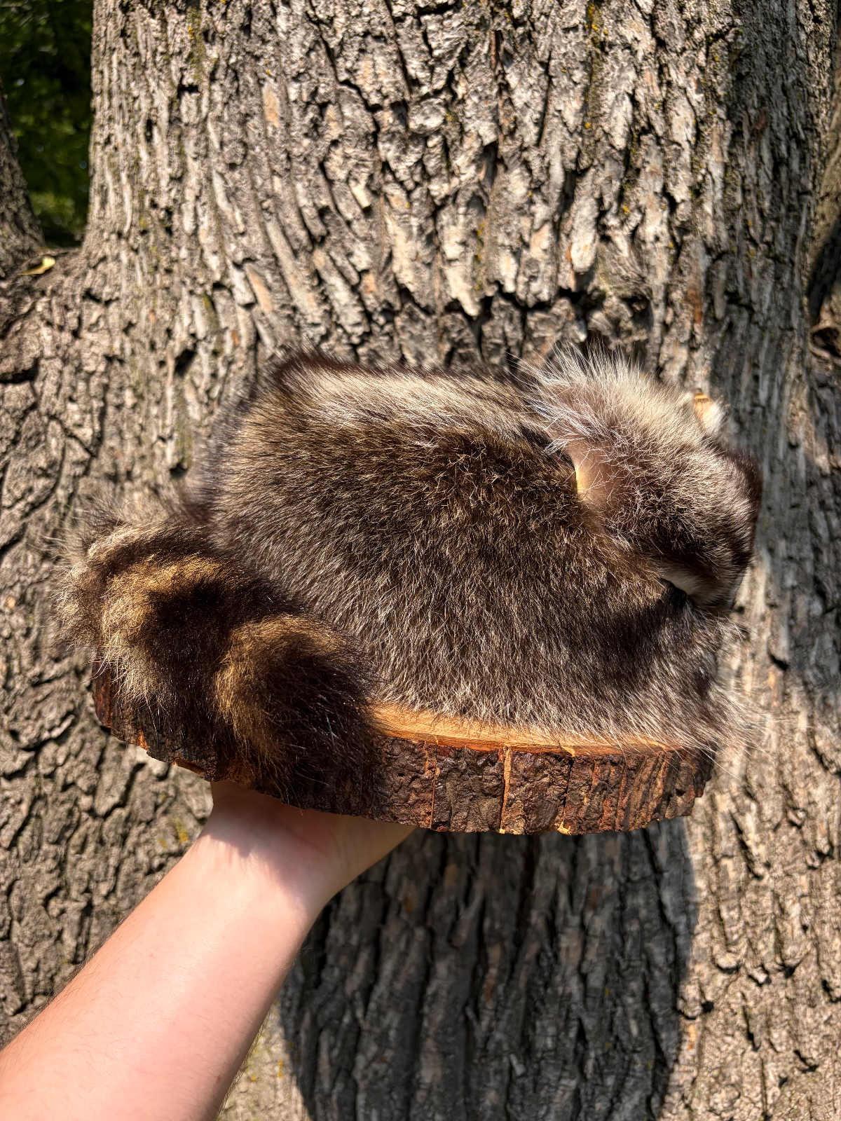 Crockett Style Hat — handmade Racoon fur piece